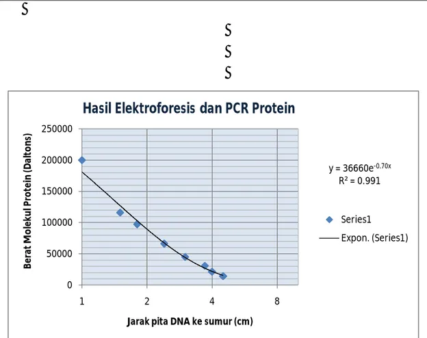 Gambar 3. Grafik Hasil Elektroforesis dan PCR Protein Darah Jarak Pita (cm) Berat Molekul (Dalton) Protein 