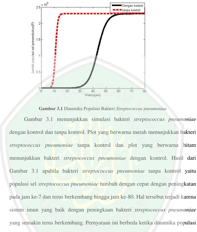 Gambar 3.1 Dinamika Populasi Bakteri Streptococcus pneumoniae 