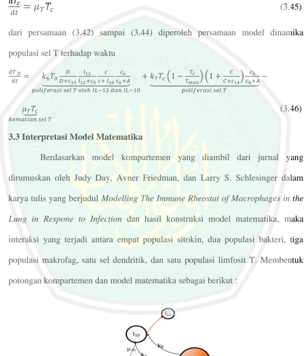 Gambar 3.2 Alur Populasi IL-10 