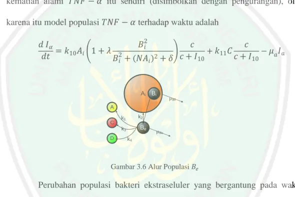 Gambar 3.6 Alur Populasi  
