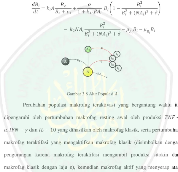 Gambar 3.8 Alur Populasi   