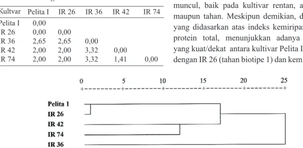 Tabel  2.   Matrik jarak euclid kemiripan pola protein 