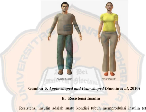 Gambar 5. Apple-shaped and Pear-shaped (Smolin et al, 2010)  E.  Resistensi Insulin 