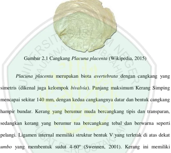 Gambar 2.1 Cangkang Placuna placenta (Wikipedia, 2015) 
