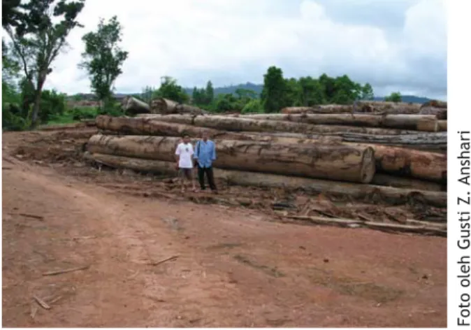 Tabel 1. Jumlah izin di Kalimantan Barat tahun 2003