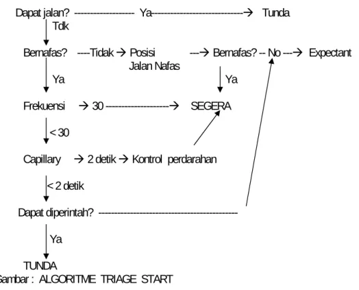 Gambar :  ALGORITME  TRIAGE  START 