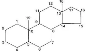 Gambar 2.3 Struktur dasar triterpenoid 