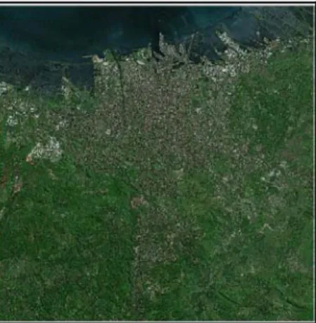 Gambar 3. Citra satelit SPOT5 Kota Semarang 
