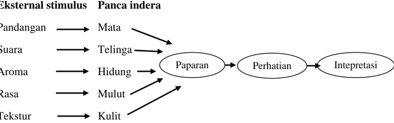 Gambar 2.1 Proses Perceptual oleh Solomon (dalam Ferrinadewi, 2008) 