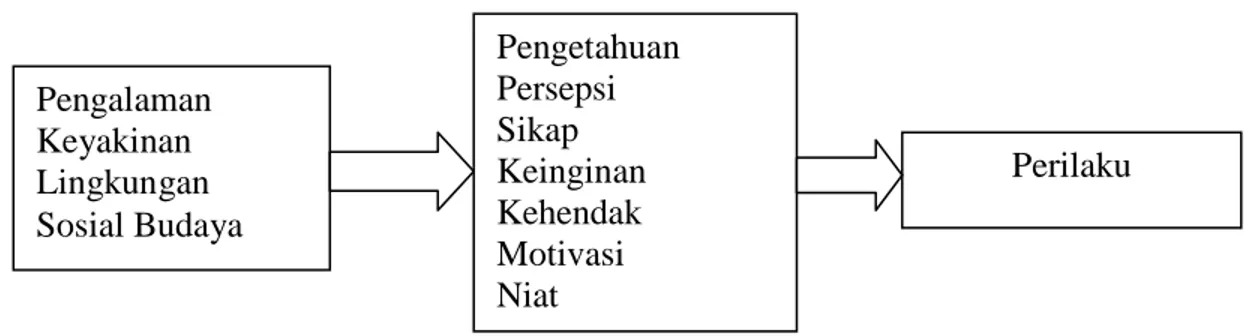 Gambar 2.1 Determinan Perilaku Manusia ( Notoatmodjo, 2012) 