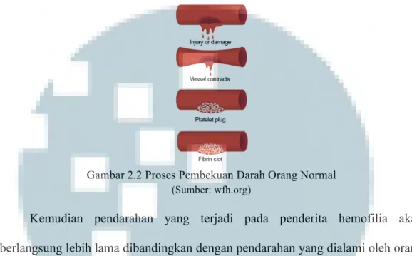 Gambar 2.2 Proses Pembekuan Darah Orang Normal  (Sumber:  wfh.org                                                            ) 