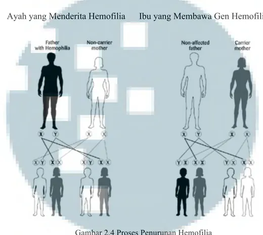 Gambar 2.4 Proses Penurunan Hemofilia  (Sumber:  hemofilia.or.id                                                            ) 