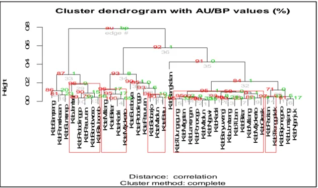 Gambar 2. Dendrogram dengan nilai AU/BP (B=500) pada masing-masing Kabupaten / Kotamadya di Provinsi Jawa Timur