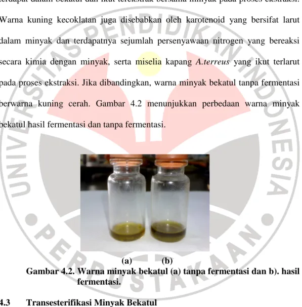 Gambar 4.2. Warna minyak bekatul (a) tanpa fermentasi dan b). hasil  fermentasi. 