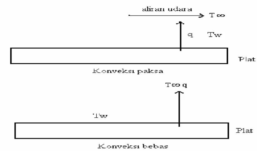 Gambar 2.3 Perpindahan Panas Konveksi 