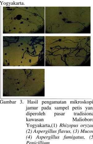 Gambar  3.  Hasil  pengamatan  mikroskopis  jamur  pada  sampel  petis  yang  diperoleh  pasar  tradisional 