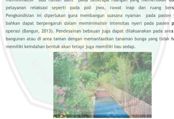 Gambar 2.  40Sensory garden 