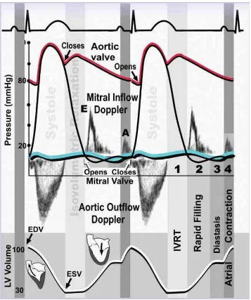 Gambar 2.4 Siklus Jantung dengan Hubungan Spectral Doppler (Ho, 2007) 