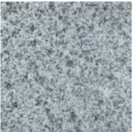 Gambar 1 Permukaan batu granit 