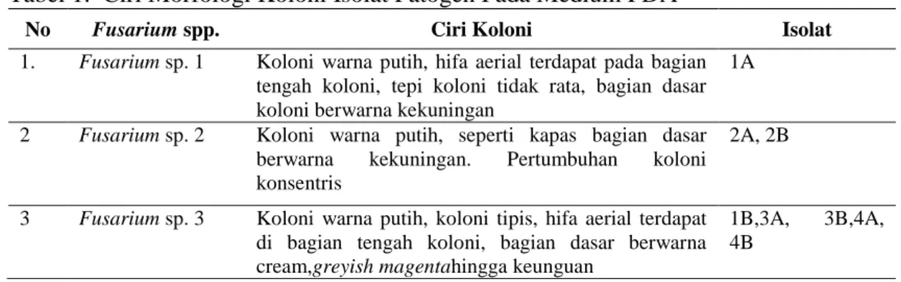 Tabel 1.  Ciri Morfologi Koloni Isolat Patogen Pada Medium PDA 