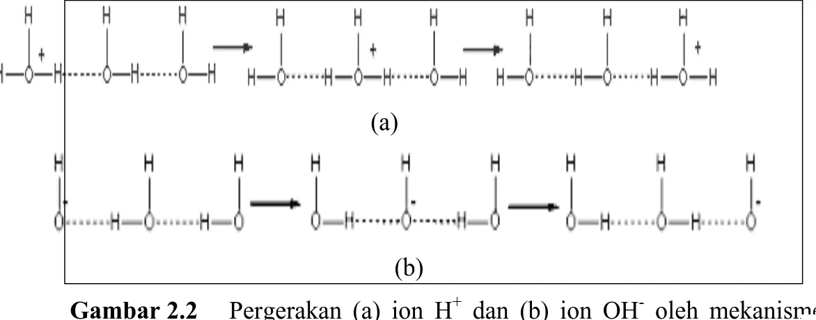 Gambar 2.2  Pergerakan (a) ion H +   dan (b) ion OH -   oleh mekanisme  Grotthuss. Muatan positif dan negatif yang  berpindah-pindah terbentuk sebagai akibat serangkaian perberpindah-pindahan  proton (Sumber : Barrow, 1979) 