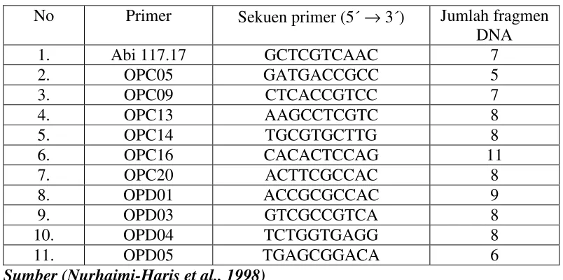 Tabel 1. Sekuen Basa dan Fragment DNA Yang Dihasilkan dengan Beberapa  Primer Pada Tanaman Karet 