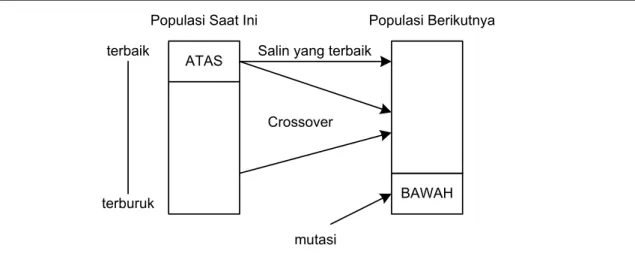 Gambar 4. Strategi Evolusi 