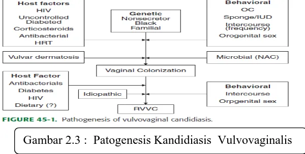 Tabel 2.1 Mekanisme Pertahanan Vagina terhadap Organisme Candida