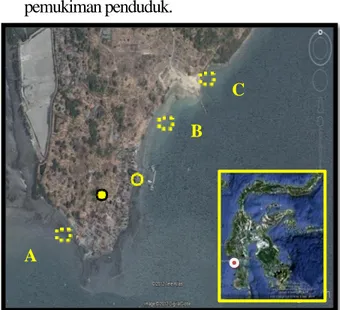 Gambar 1. Potret udara lokasi penelitian di pantai  Mara’bombang, (Google Earth, 2012)