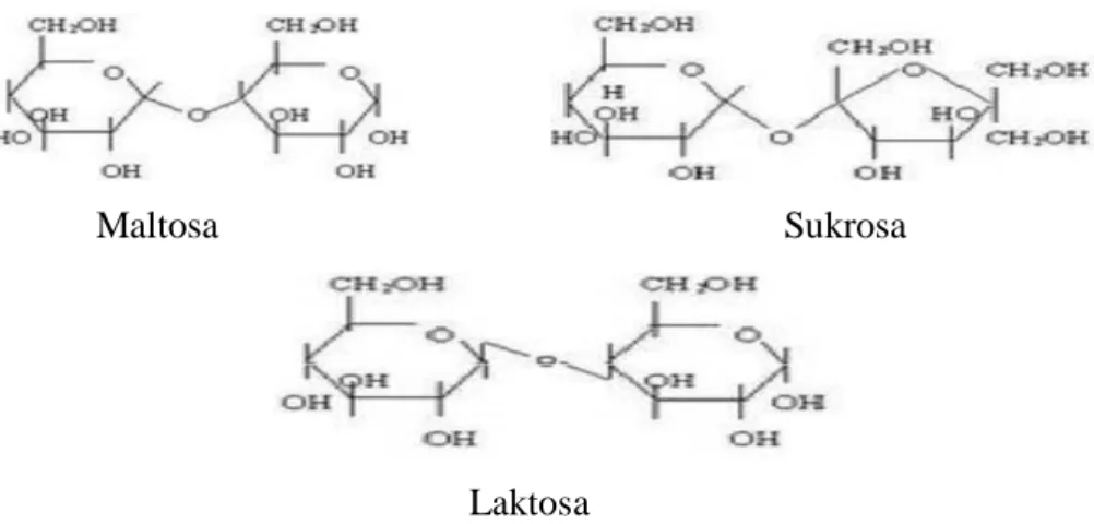 Gambar 2.3 Struktur molekul maltosa, sukrosa dan laktosa.  ( http://cybergoldenword-knowledge.blogspot.com/kimia-pangan.html ) 