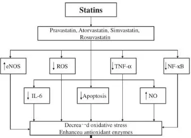 Gambar 2.8.  Jalur yang berperan dalam efek pleiotropic yang dimediasi oleh statin. 