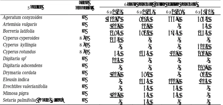 Tabel 4.  Jumlah  propagul  (biji,  stolon,  rimpang)  gulma  yang  tumbuh  per  m 2   pada  berbagai  tahun  pangkas  di  Perkebunan Teh Tambaksari, Subang tahun 2008 