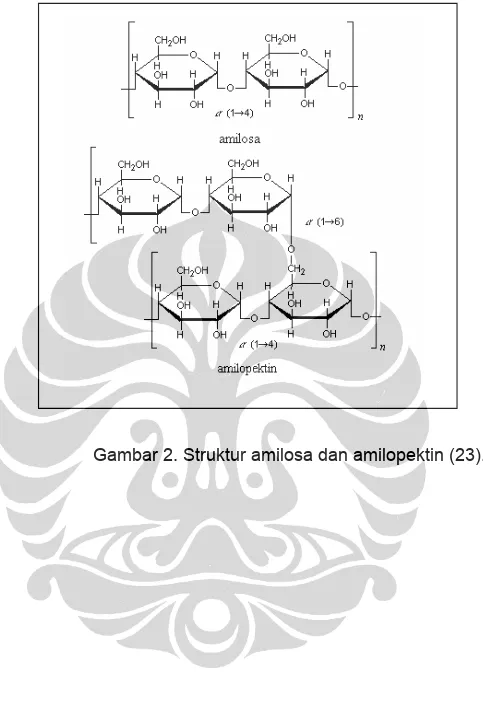 Gambar 2. Struktur amilosa dan amilopektin (23). 