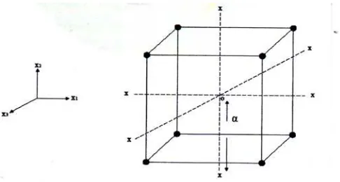 Gambar 3.3. Central Composite Design 