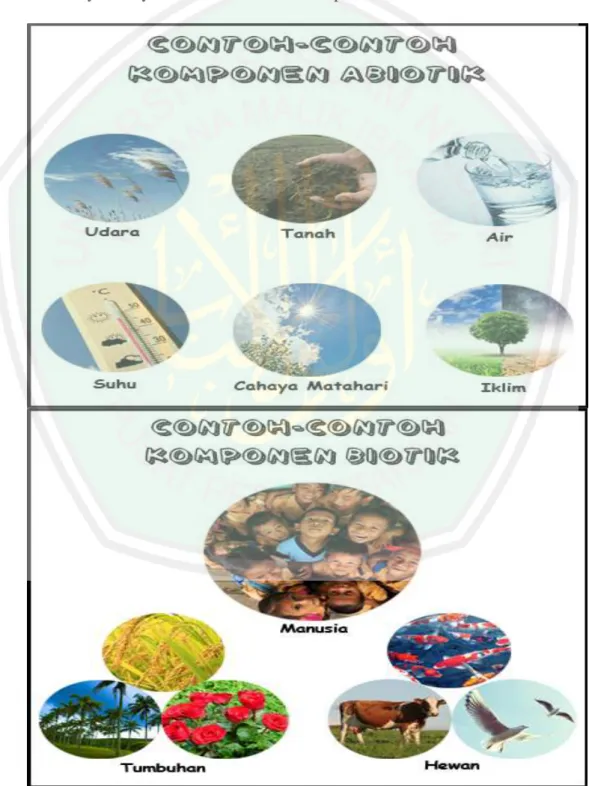 Figure 4.8 The examples of biotic and abiotic component 