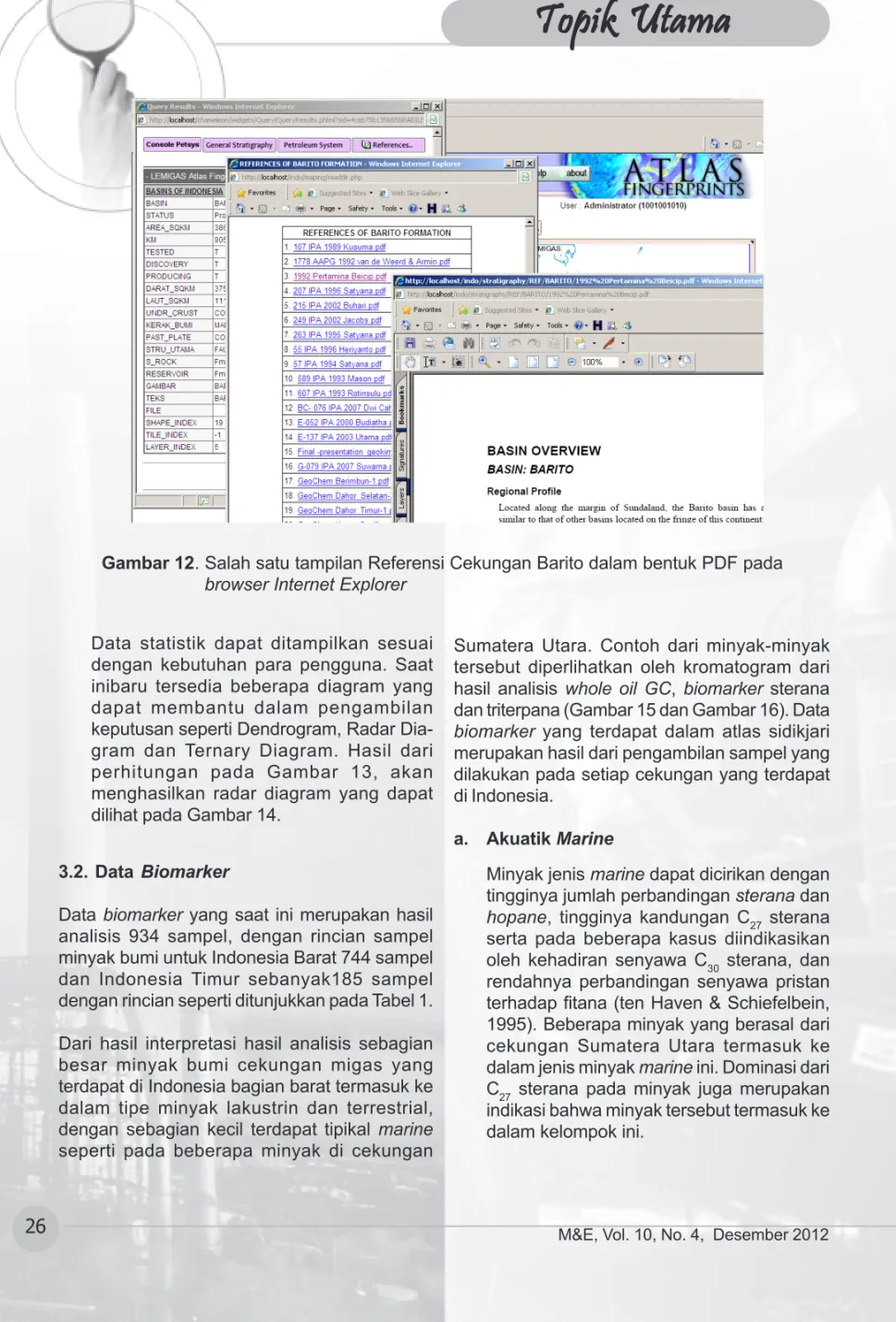 Gambar 12. Salah satu tampilan Referensi Cekungan Barito dalam bentuk PDF pada browser Internet Explorer
