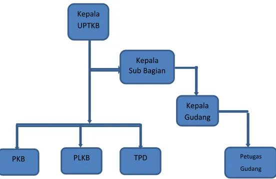 Gambar 2. 1 Struktur Organisasi Kepala UPTKB PKB Kepala Sub Bagian PLKB TPD Kepala Gudang  Petugas Gudang 