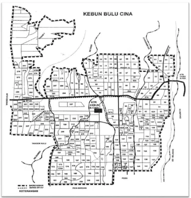 Gambar 2.2. Peta Perkebunan Bulu Cina (Sumber: PTPN 2 Kebun Bulu Cina) 