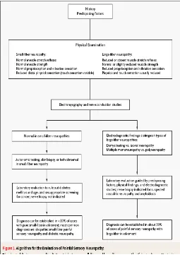 Gambar 2. Algoritma Untuk Evaluasi Neuropati Diabetika 