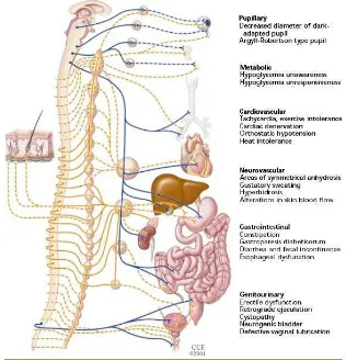 Gambar 5. Manifestasi klinis dari autonomic neuropathy (Sympathetic 