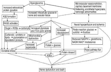 Gambar 1. Patogenesa Neuropati Diabetika 