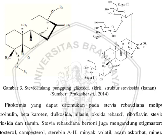 Gambar 3. Steviol,tulang  punggung  glikosida  (kiri),  struktur steviosida (kanan)  ( Sumber:  Prakashet al., 2014)