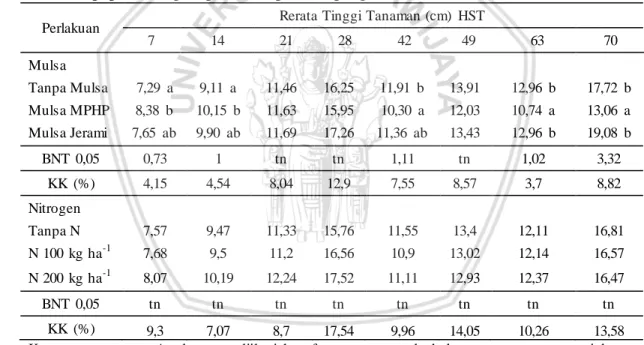 Tabel  1. Rerata  tinggi  tanaman  stevia  akibat  perlakuan  jenis  mulsa  dan dosis  pupuk  nitrogen  pada setiap  umur  pengamatan