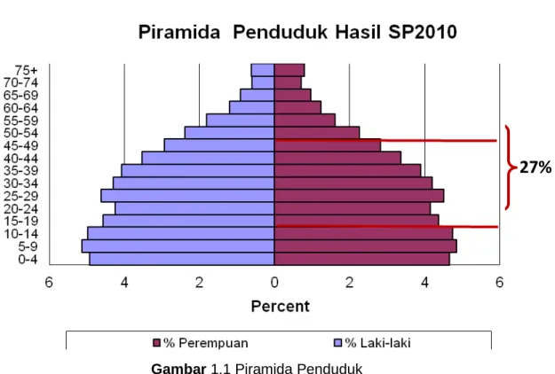 Gambar 1.1 Piramida Penduduk