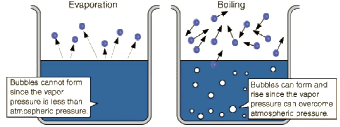 Gambar 5. Perbedaan proses penguapan dengan pendidihan [6] 