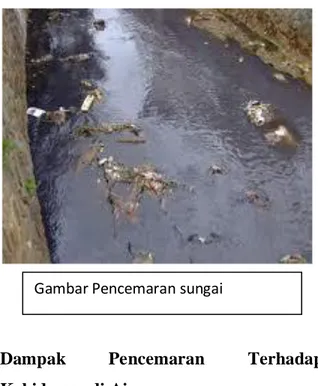 Gambar Pencemaran sungai  