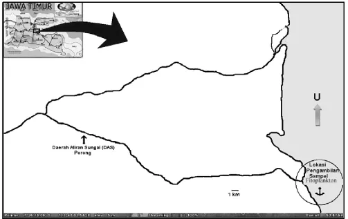 Gambar 2.  Lokasi penelitian di Estuari Sungai Brantas, Jawa Timur (Sumber:  Google Earth) 