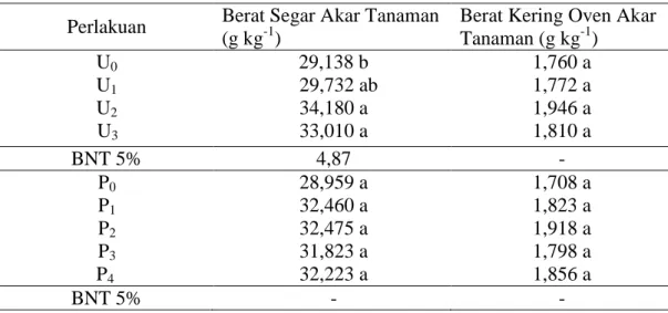 Tabel 3.4 Nilai Rata-Rata Berat Segar Akar Tanaman dan Berat Kering Oven Akar  Tanaman pada Perlakuan Konsentrasi Biourine (U) dan Dosis Pupuk 
