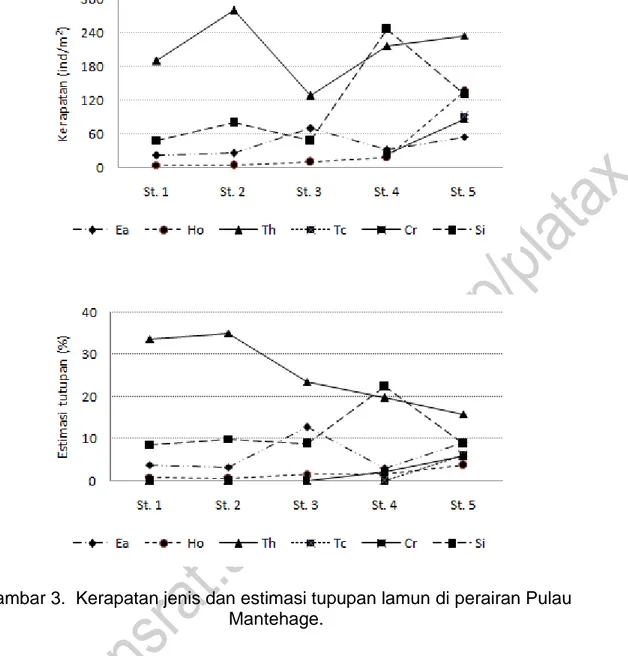 Gambar 3.  Kerapatan jenis dan estimasi tupupan lamun di perairan Pulau  Mantehage. 