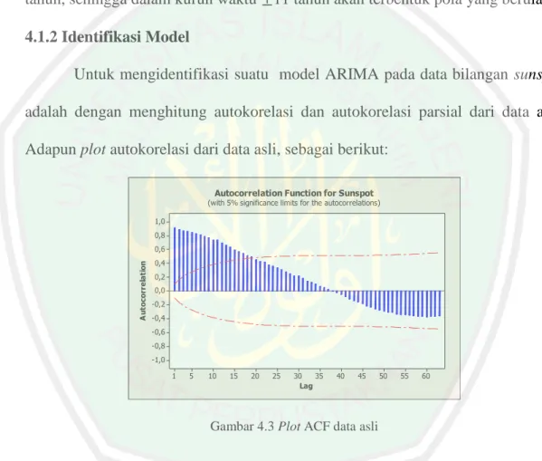 Gambar 4.3 Plot ACF data asli 